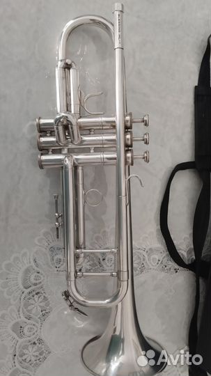 Труба blessing ML-1