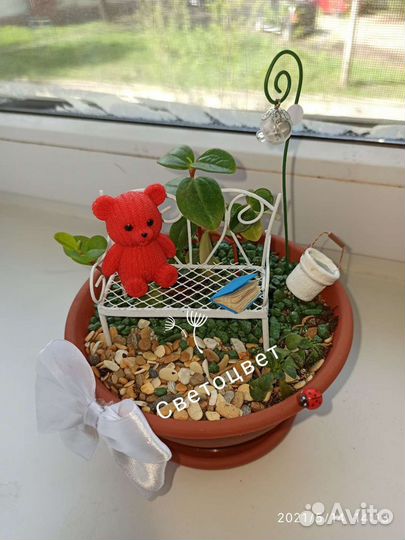 Флорариум, цветочные композиции, подарки