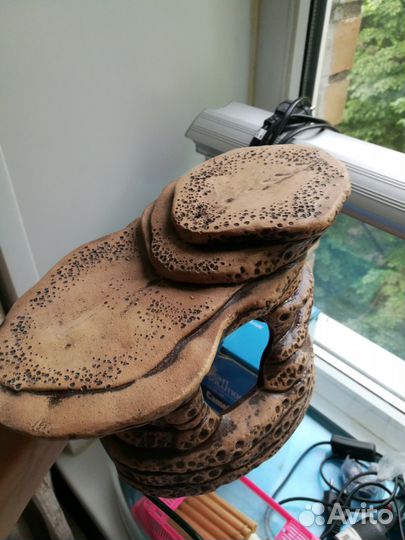 Террариум с аксессуарами