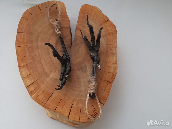 Лапы ворона