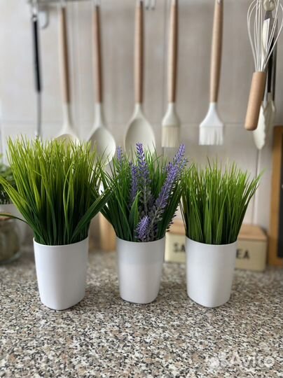 Искуственное растения в кашпо