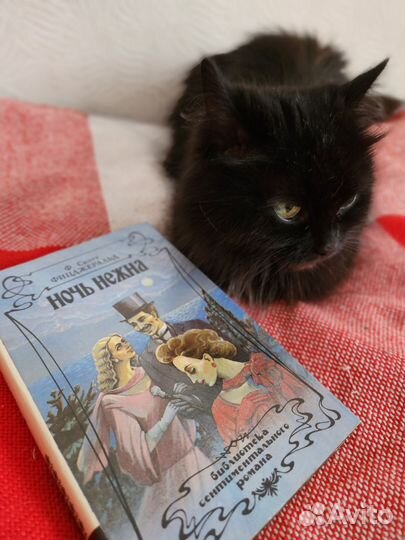 Кошка Дуся продаст книги