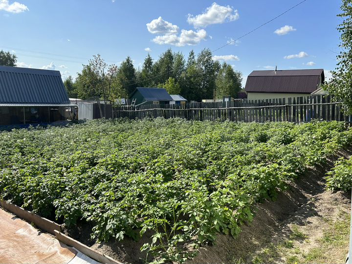 Дача 30 м² на участке 14 сот.