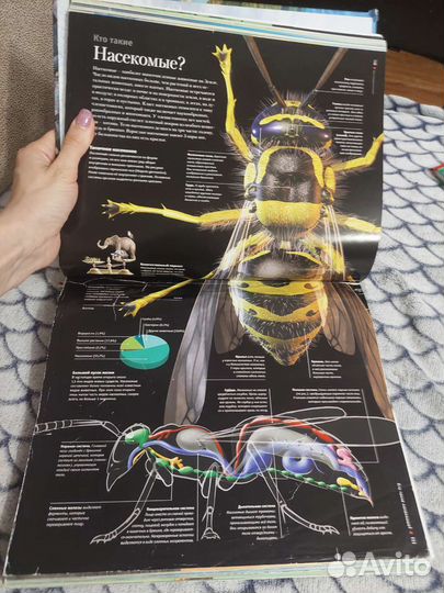 Суперэнциклопедия животных