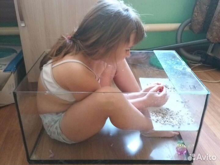 Аквариум