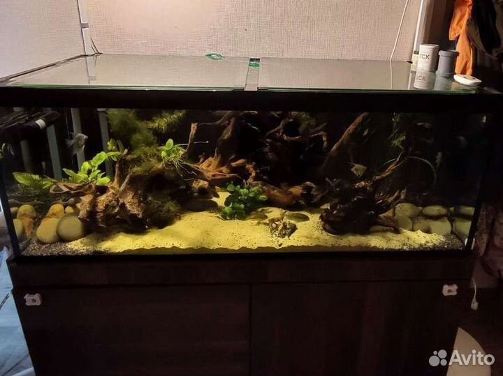 Аквариум