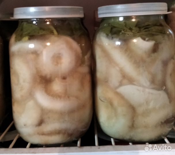 Картофель домашний, сорт Спиридон