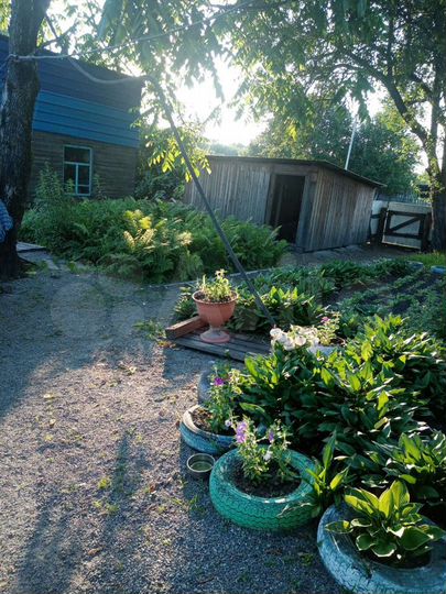 Дом 48 м² на участке 50 сот.