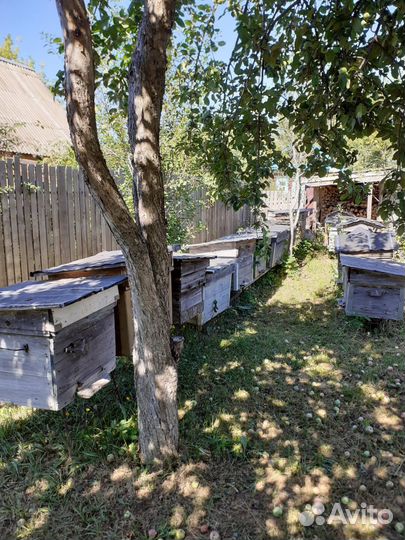 Ульи для пчел