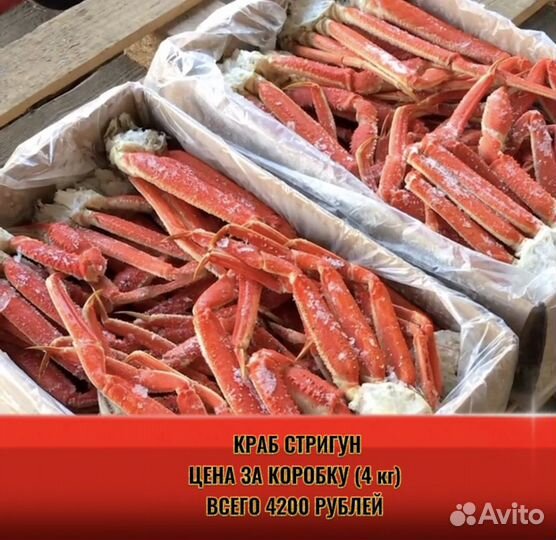 Клешни краба стригуна