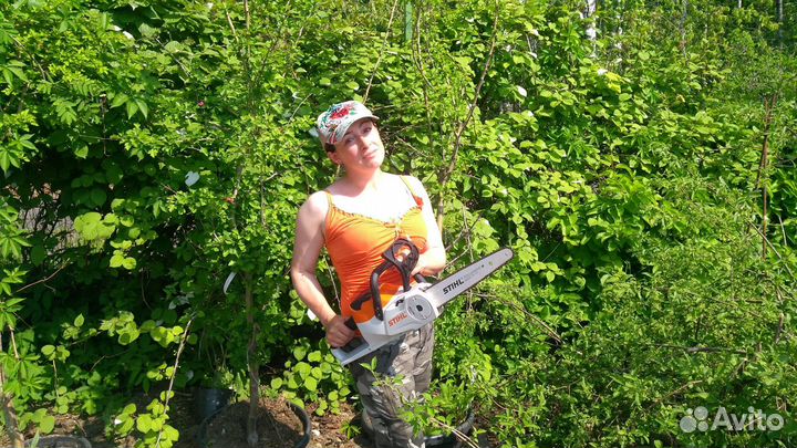 Продавец-консультант