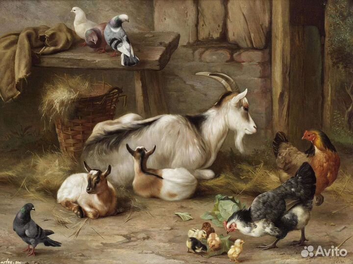 Козье молоко