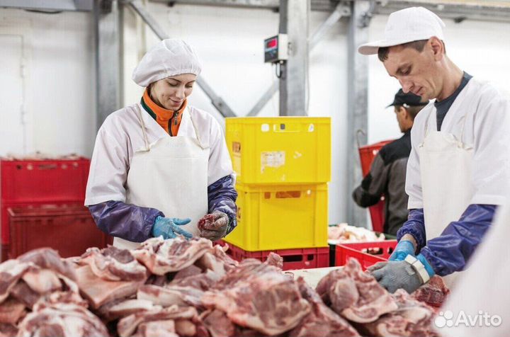 Работа разнорабочим на мясокомбинате(Вахта)