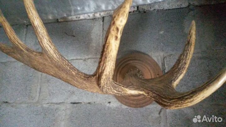 Предметы интерьера из 30х годов прошлого века