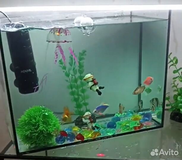 Аквариум с рыбками