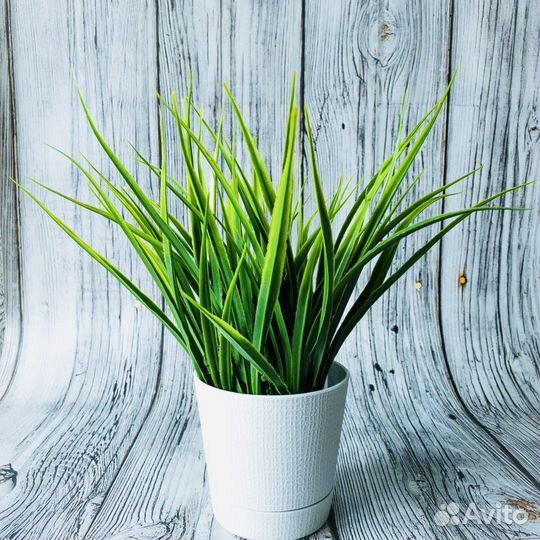 Искусственная трава осока новая 1 шт