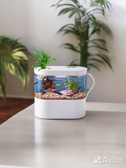 Мини аквариум для петушка и рыбок