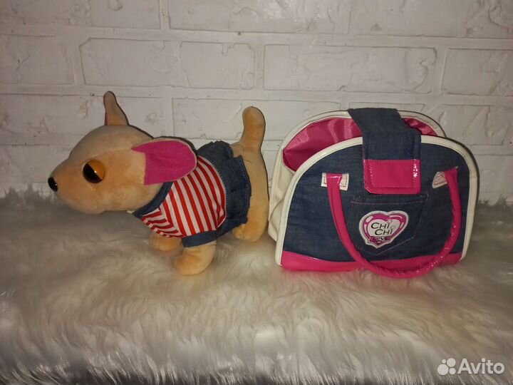 Чичилав чихуахуа