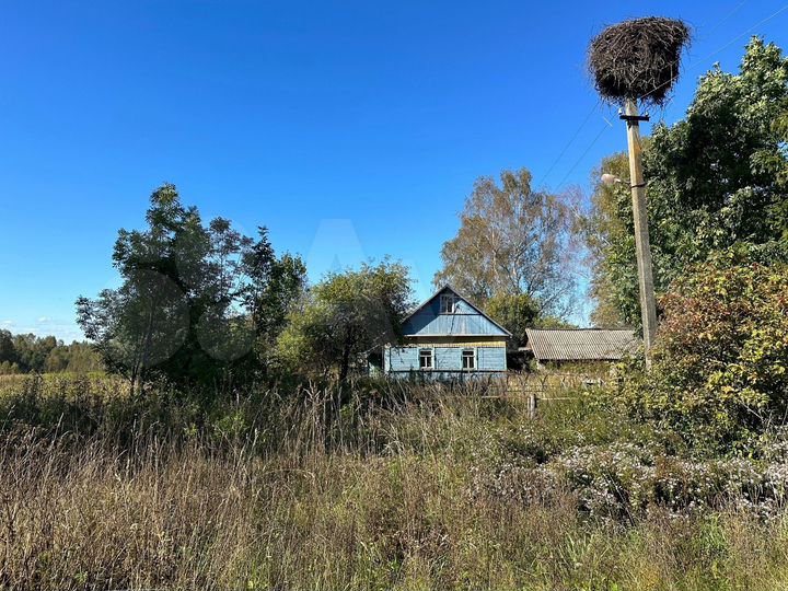 Участок 40 сот. (ИЖС)