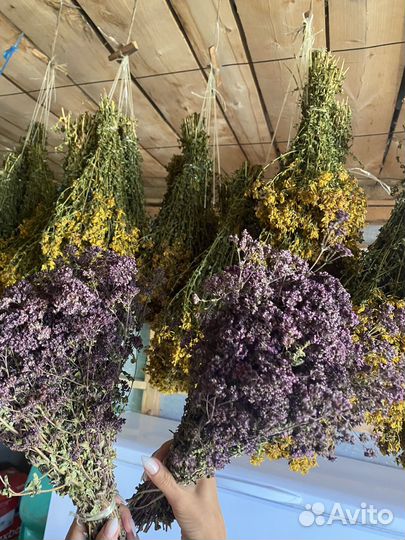 Душица сушеная