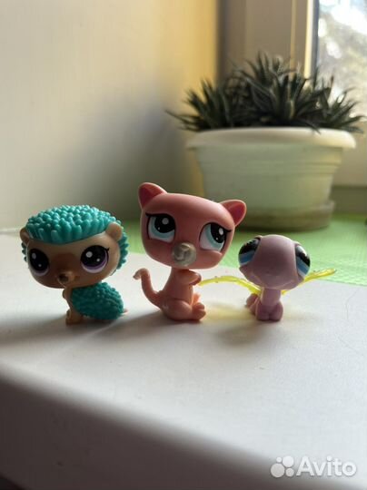 Littlest Pet Shop