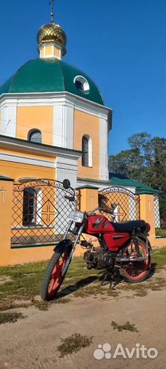 Alpha 50cc