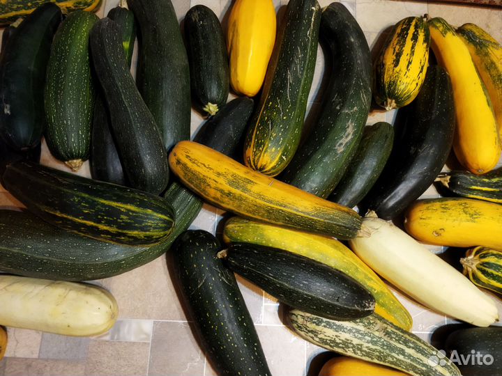 Кабачки свежие разных сортов