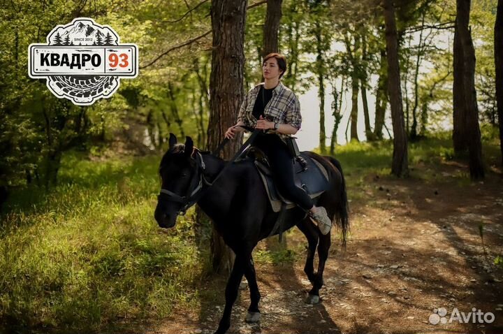 Конные прогулки на лошадях/ катание на лошадях