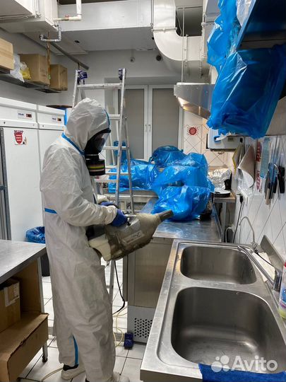 Дезинфекция Уничтожение клопов и тараканов