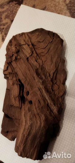 Старинное Окаменелое дерево