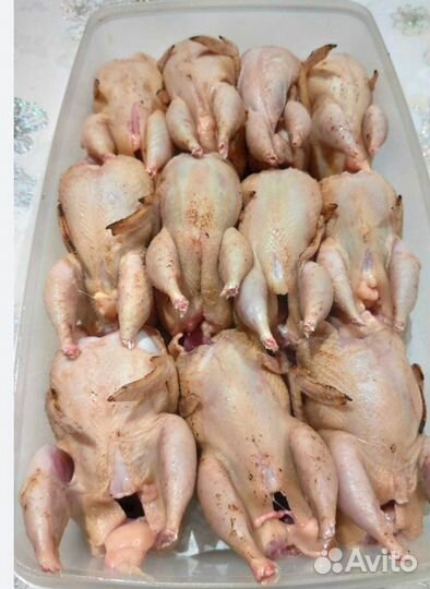 Мясо перепелов