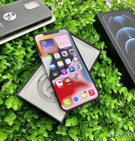 iPhone 12 Pro Max 128gb Синий