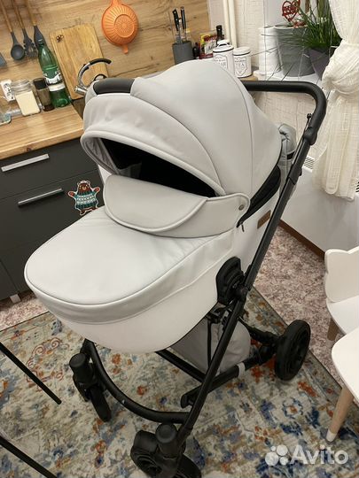 Коляска anex cross 2 в 1