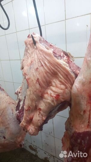 Мясо халяль, говядина, баранина