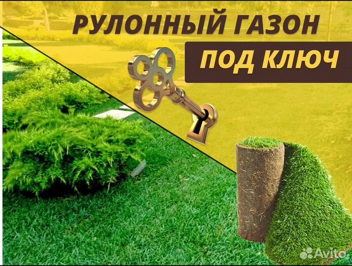 Рулонный газон Спортивный