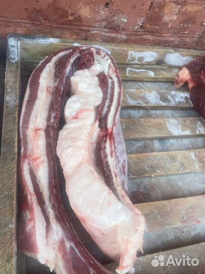 Лошади на мяса