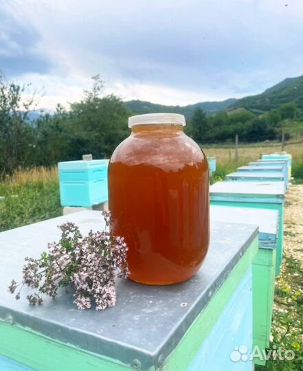 Натуральный майский мед