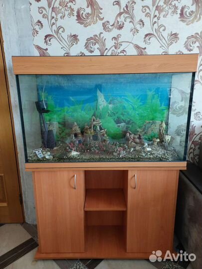 Аквариум