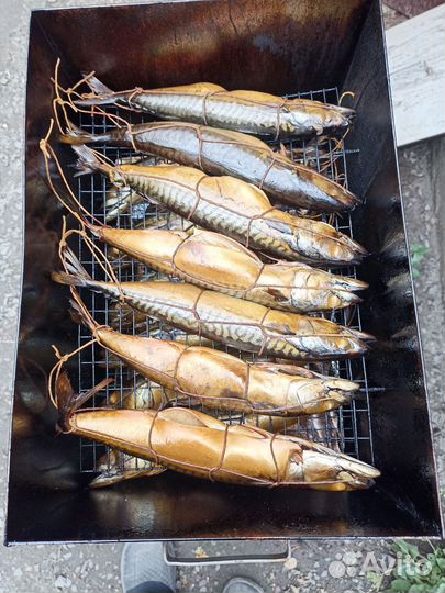 Горбуша, скумбрия-горячего копчения