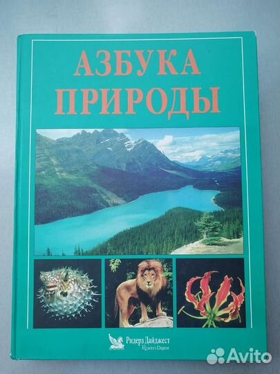 Энциклопедия