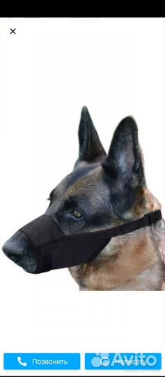 Новый намордник для подрастающей овчарки