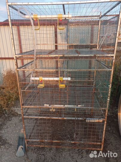 Клетки для кур бройлеров
