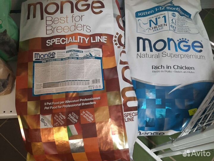 Монж для собак гиппо и корм для котят монж