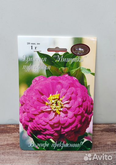 Цинния Каприс