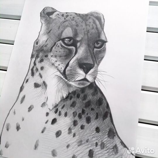 Картина графическая зарисовка гепард 30х40