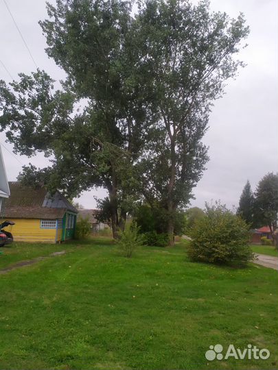 Спил деревьев