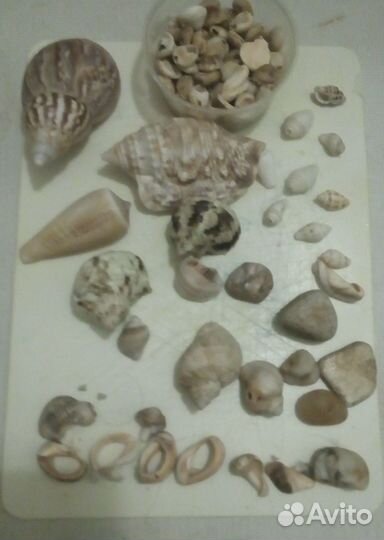 Ракушки, камушки, украшения для декора