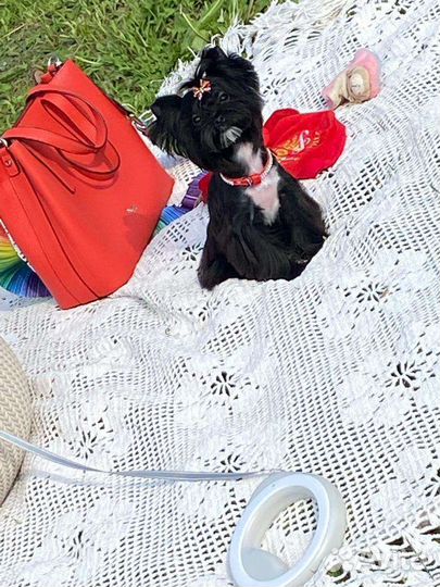 Мини девочка