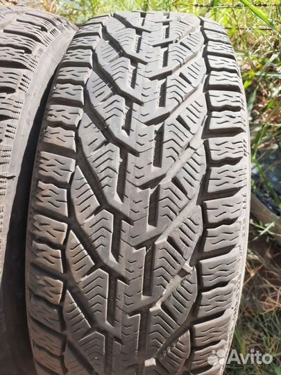Tigar Winter 195/60 R15