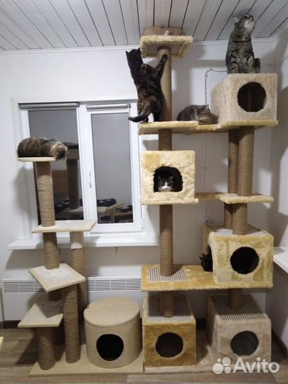 Когтеточки, столбики, игровые комплексы для кошек